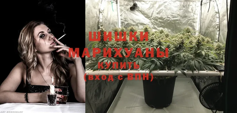 Шишки марихуана White Widow  даркнет сайт  Заречный 